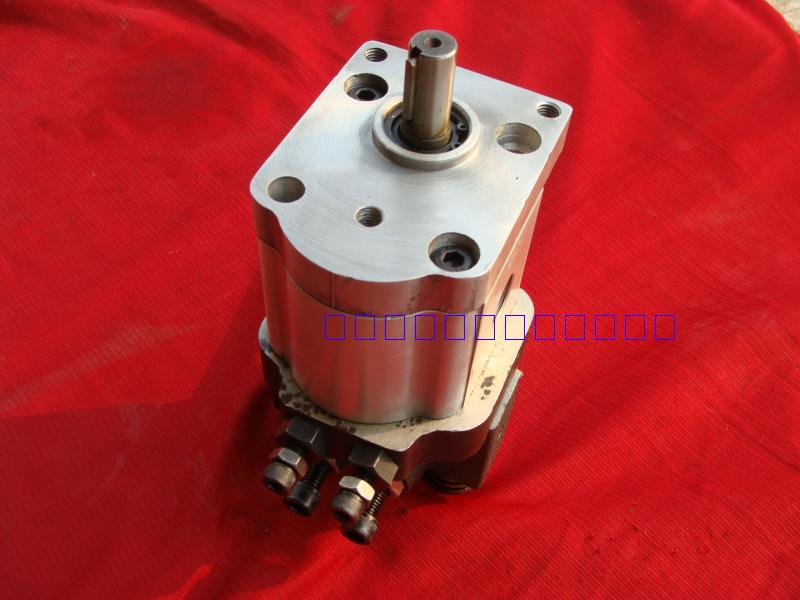 CBS-F300 Two-way Composite Gear Pump