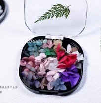 Nail dried flower Japanese perpetual flower purple flower colorful leaves large petals nail decoration DIY boxed jewelry