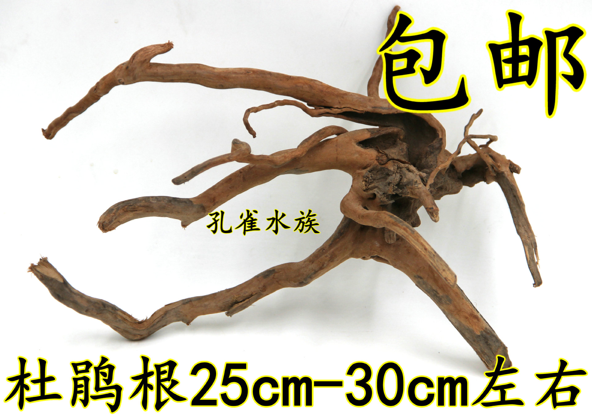 Rainforest tank fish tank grass tank reptile landscape rattan long strip rhododendron root forest tree landscape fibrous root decoration