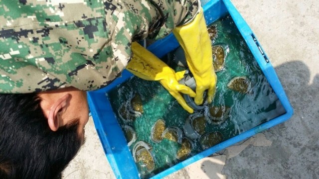 Giày mothproof thời trang nam ống mùa thu và mùa đông cộng với bông ấm áp thợ mỏ nam mưa ủng thép đầu cao su chùm giày chống thấm nước nam