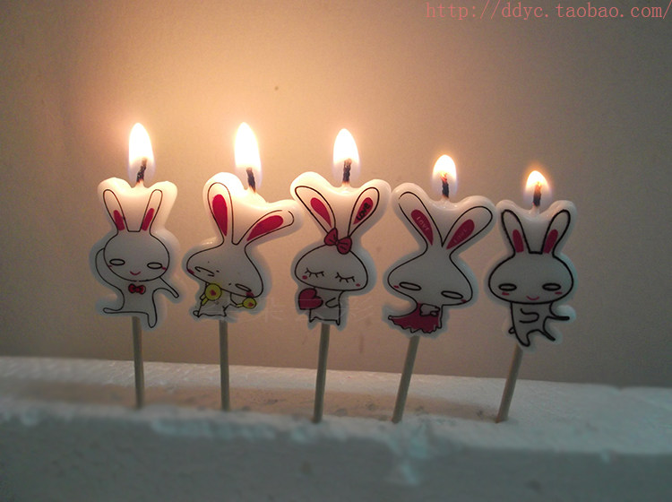 Bougie - Ref 2494105 Image 18