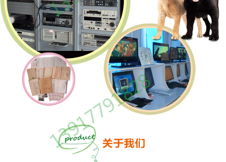 纸质档案图文化档案校对档案处理