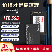 长城固态硬盘1TB 2TB台式机笔记高速SSD512G全新固态硬盘批发