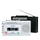 Магнитофон PANDA/Панда 6503, радиомагнитола, магнитофонная лента на u-диске, walkman, однопользовательский плеер, портативное радио для пожилых людей mini 2