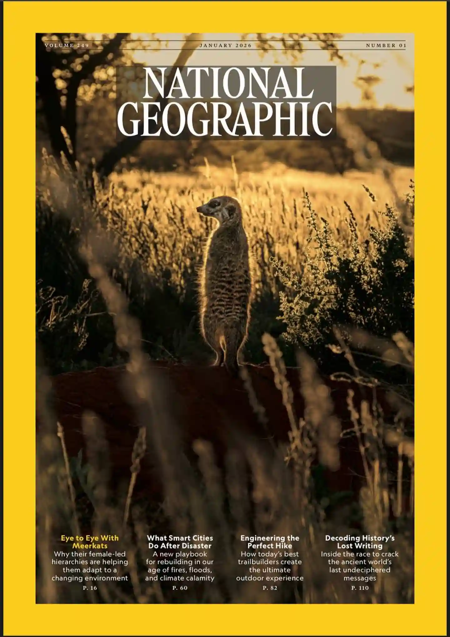 《美国国家地理 National Geographic USA》2025年第12期全彩精校PDF杂志下载