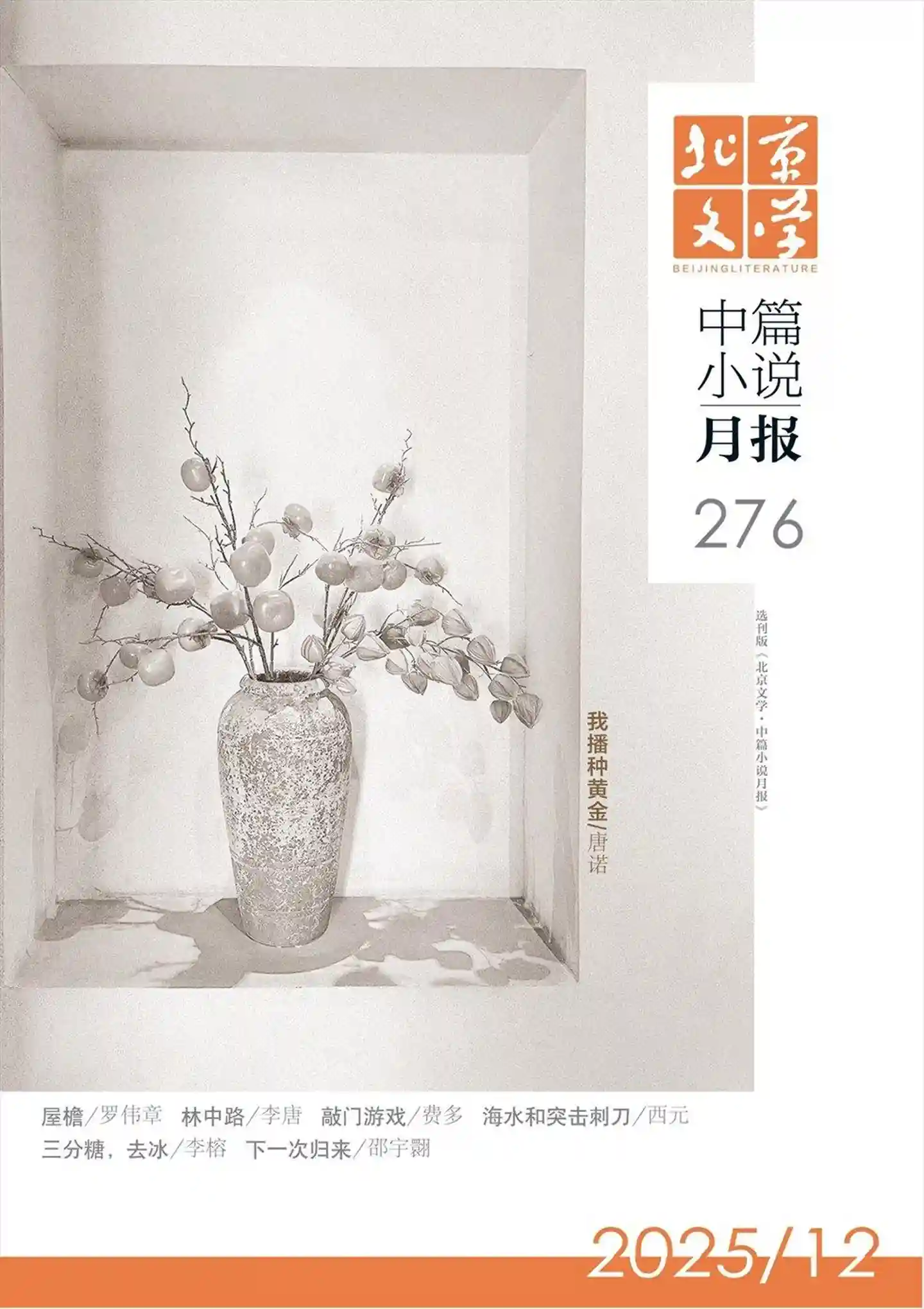 《北京文学·中篇小说月报》2025年第12期全彩精校PDF杂志下载