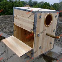 Large parrot nest eclectic parrot breeding box sunflower Amazon Parrot Birds Nest outside anti-bite nest box