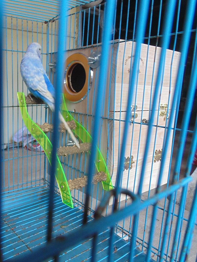 Solid wood Budgerigar breeding box Drawer hatching nest Small bird's nest Wooden vertical peony bite-resistant