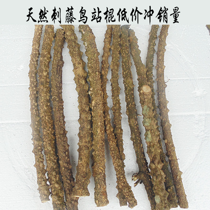 Natural Thorn Rattan station Rod Painting Brow Eyebrow 8 Gothic Eye National Batch of Flowers Without Jumping Pole Prickly Ash Wood