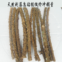 Natural Thorn rattan Bird Station stick station pole thrush starlings eyebrows rust eyes national batch flower does not jump pole Pepper Wood