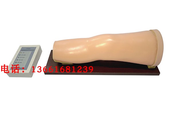 膝关节腔内注射模型电子报警膝关节注射模型膝关节穿刺训练模型