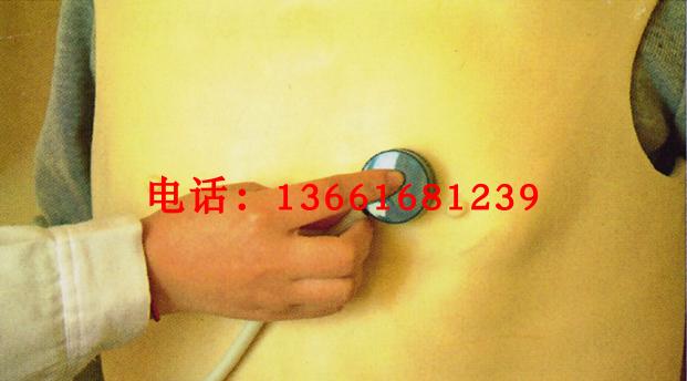 心肺听诊训练模型背心式 心肺听诊训练服穿戴式 心肺听诊模型