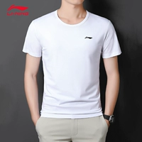 Основная ткань среза белого кальме (тип B)