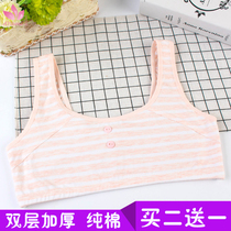 Girls underwear pure cotton hair development period Childrens harness vest double layer thickened anti-leakage point student bra 8-12 years old