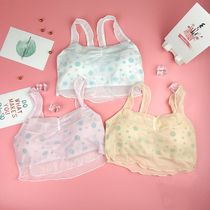 High school students bra hair dressing period girls underwear pure cotton dancing Bottoms Underwear Wrap Chest no steel ring Bra Vest Woman