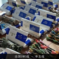 Французская линейка DMC-Single Line