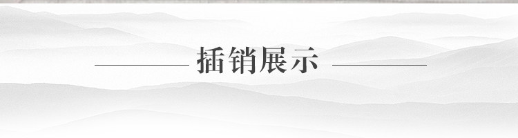 Классическая музейная дверная эмболия_06.jpg