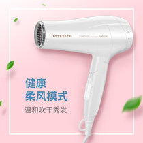 Feike FH6232 hair dryer 2000W high-power hot and cold air household hair dryer Gentle blow power generation blow