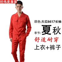 Чай улун Да Хун Пао, лонгслив, нарукавники, комплект