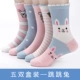 Vớ trẻ em cotton 1 mỏng 3 mùa xuân và mùa thu 5 bé trai vớ 7 mùa thu và mùa đông 9 trẻ lớn 10-12 tuổi 15 bé gái trong vớ vớ sàn mỏng