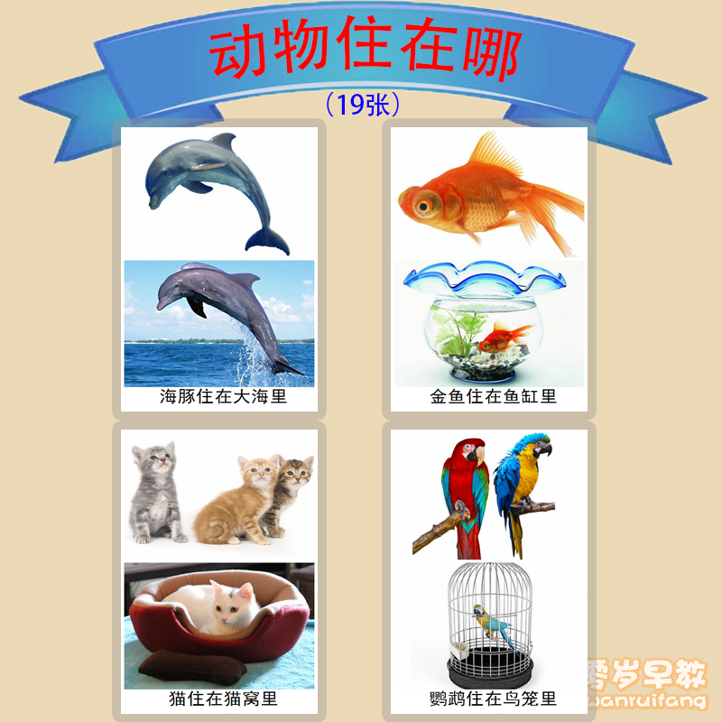 Where do the animals live with language development delays