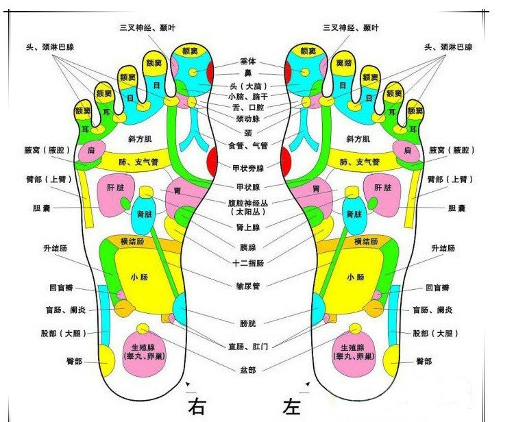 Jade massage bè bè giày dép gỗ dép móng chân giày gỗ COS nhiều màu tùy chọn giày gỗ dép cói