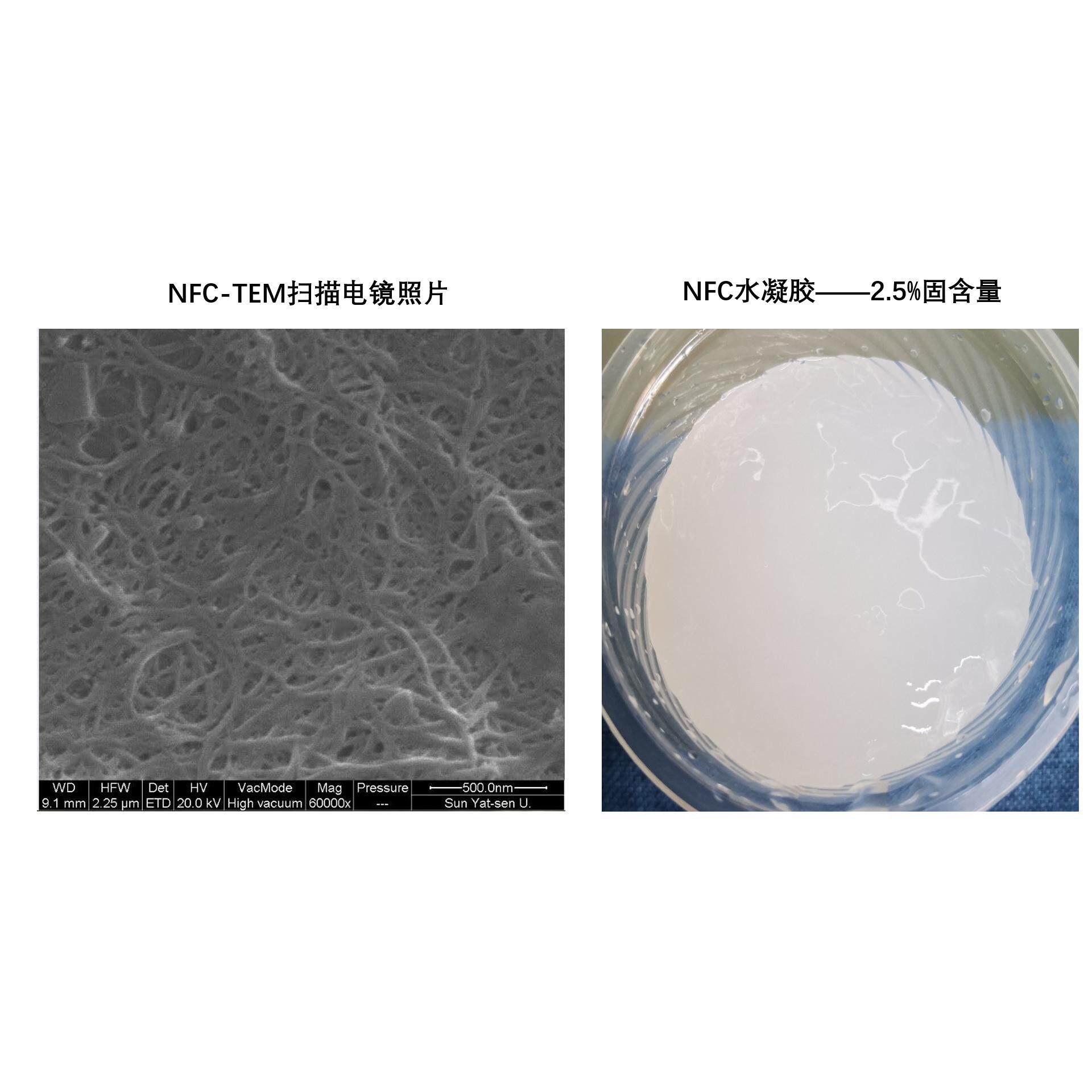 NFC 纳米纤维素  CNF  凝胶 针叶木  氧化 2.5%浓度 500g 包邮