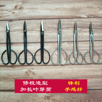 Quaint gardening small branch shears bonsai twigs cut and longer potted cut leaves and buds scissors branches and leaves shears