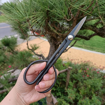 Leaf Bud scissors twigs bonsai scissors gardening pruning shears professional flower scissors flower arrangement long cut floral art making tools