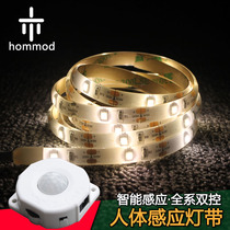 Bed bottom sensor light with bed perimeter light Wardrobe sink Wine cabinet light with bedroom LED night light Childrens bed light