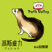 Pais Weili Pet Ferret Ferret Live Ferret Baby (Video Selection Marten) Package Transportation Direct Warranty