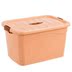 hộp nhựa 3 ngăn Trung bình 65L kích thước nhỏ hộp lưu trữ lớn để bàn hộp nhựa lưu trữ trong suốt hộp lưu trữ hộp lưu trữ gia dụng hop nhua Trang chủ