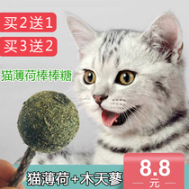 Catnip lollipop Wood polygonum molar stick Cat teeth cleaning in addition to bad breath Cat grass Cat snacks Tease cat toys Bite-resistant