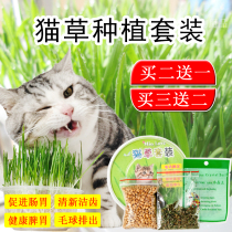 Hydroponic crystal cat grass planting suit sends cat mint kitty dog to hair ballads with fur ball vomiting dog grass