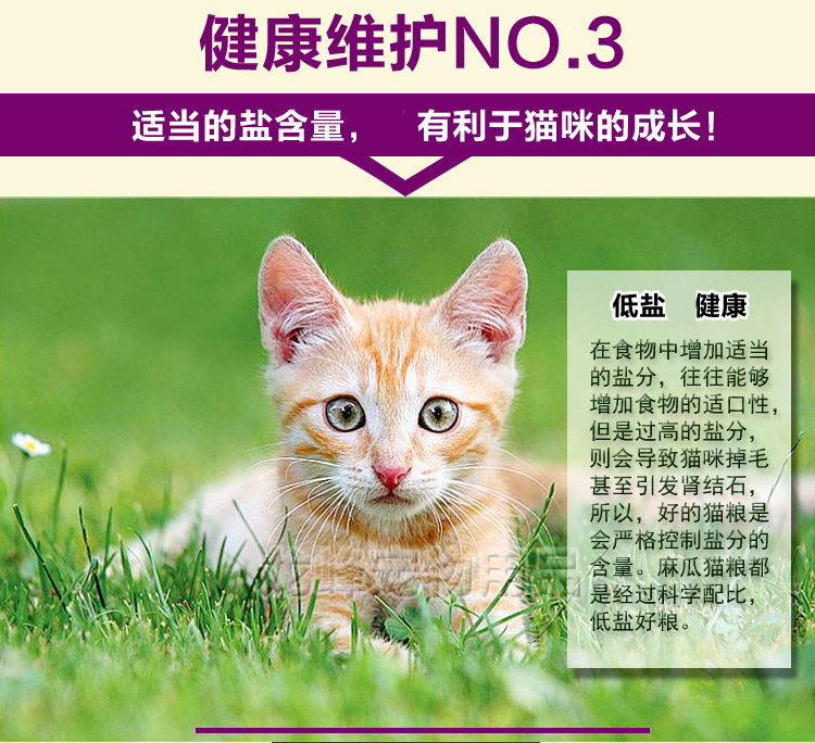 Cat Cat Thực Phẩm 1-12 tháng Weaning Dương Cá Hương Vị Cát Thực Phẩm Cát Thực Phẩm 500 gam Số Lượng Lớn Quốc Gia Vận Chuyển hạt zenith
