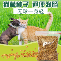 Cat grass seeds Cat dog hair removal spitting hair ball Hydroponic wheat seeds Cat snacks conditioning stomach 800 tablets