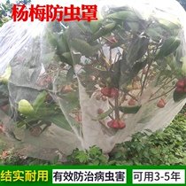 Bayberry umbilical orange jujube fruit tree cover Cherry mosquito net insect net Luo man anti-bird net wind net
