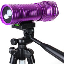 Night fishing light fishing light purple table fishing super bright fish light High power rechargeable dual light source flashlight strong light 10W