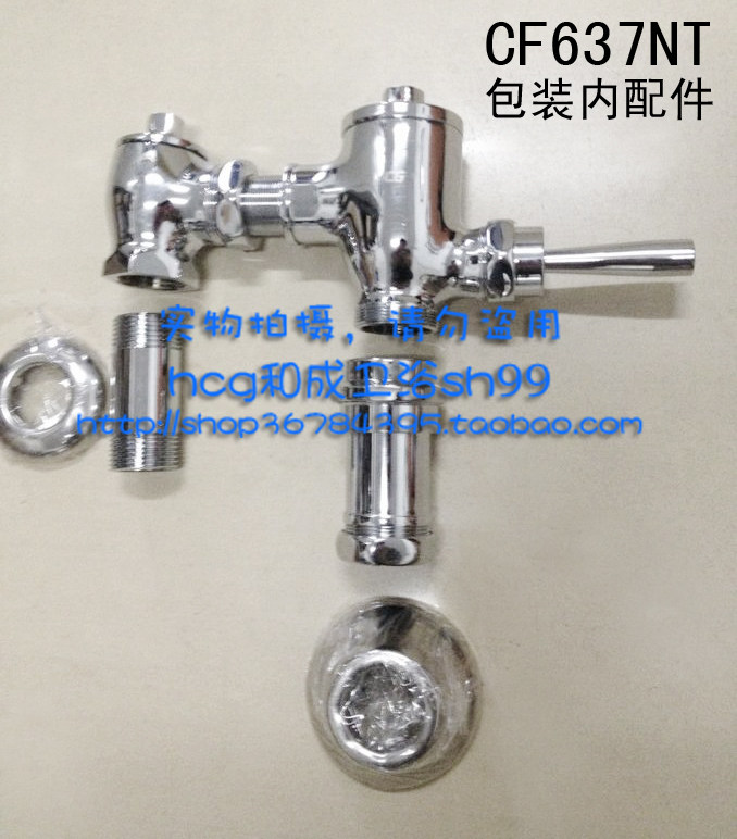HCG and into the bathroom CF637NT hand press type fecal flushometer anti-siphon HCG squat pit flusher