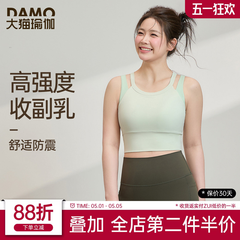 Plus Size Sports Bra High-Intensity Shockproof Sports Vest Pilates Training Yoga Wear Fitness Clothing Set