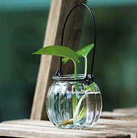Zakka tạp hóa Nhật Bản đơn giản chai thủy tinh chai thủy tinh dây treo chai lọ văn hóa nước chai 0,2kg - Vase / Bồn hoa & Kệ chậu đất nung trồng cây