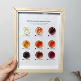 Янтарный демисезонный лак для ногтей для маникюра, новая коллекция, 2021 года, популярно в интернете, небольшой набор