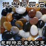 Sản phẩm làm vườn Thẩm Dương Pebble Rain Stone Trang trí Garden Stone Đá tự nhiên Đá thủy canh