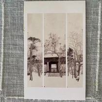 Beijing scenery places of interest Dongyue Temple listening to the snow temple snow scene Chinese painting postcard