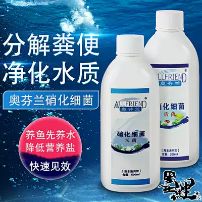 Austrian Finland active liquid nitrifying bacteria freshwater sea sea Arhan red dragon fish water purification nitrifying bacteria