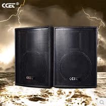 CCET F-10 professional sound 10 inch sound suit stage KTV professional speaker