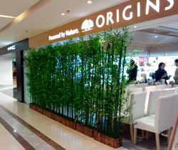 Simulated Bamboo Bamboo Forest Plastic Bamboo Leaves for Landscaping Company Hotel Living Room Indoor and Outdoor Partition Decoration Fake Bamboo