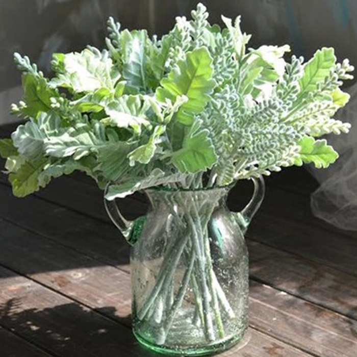 Upscale green plant silver leaf Chrysanthemum Antlers Leaf Small Goat Horns Leaf Emulation Flowers Fake Flowers Living-room Bedroom Tea Table Placement Decoration Flowers