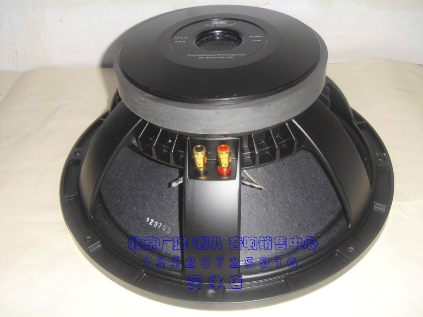 (National Express) Layton 12AZ-20 12 inch bass bass KTV stage wedding special