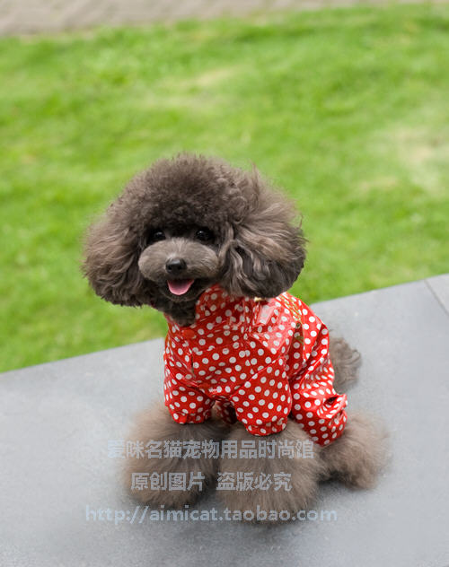 Quần áo thú cưng xấu xí mới giản dị Mickey áo mưa một mảnh quần áo thú cưng chó áo mưa quần áo Teddy - Quần áo & phụ kiện thú cưng áo cho mèo chó